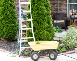 Image for TOP 10 SPRING PEST PROOFING TIPS